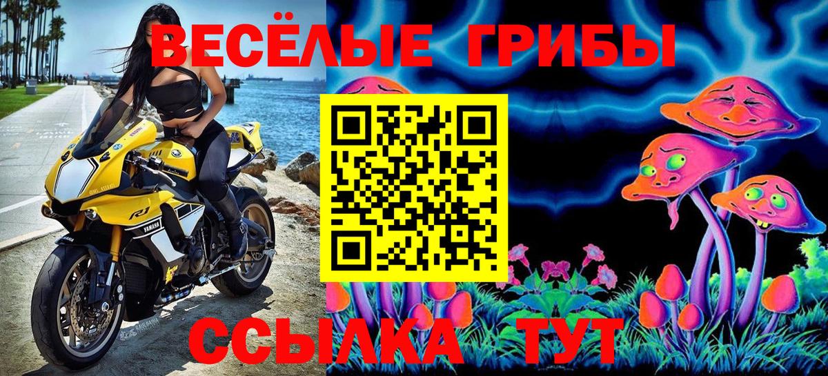 Псилоцибиновые грибы Psilocybe  наркошоп  Воронеж  Вход с VPN 